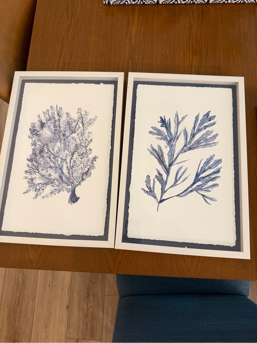 Coastal Coral Paper Prints Set Of 2 Blue White Framed Nautical Natural Beach